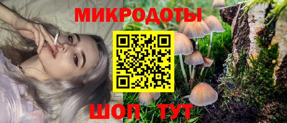 Галлюциногенные грибы прущие грибы  Вход с VPN  Кубинка 