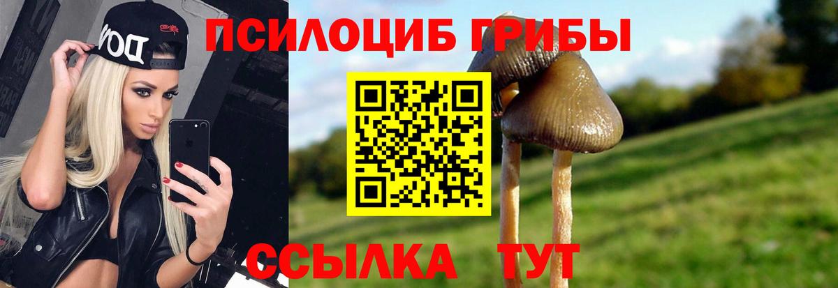 Псилоцибиновые грибы MAGIC MUSHROOMS Кубинка